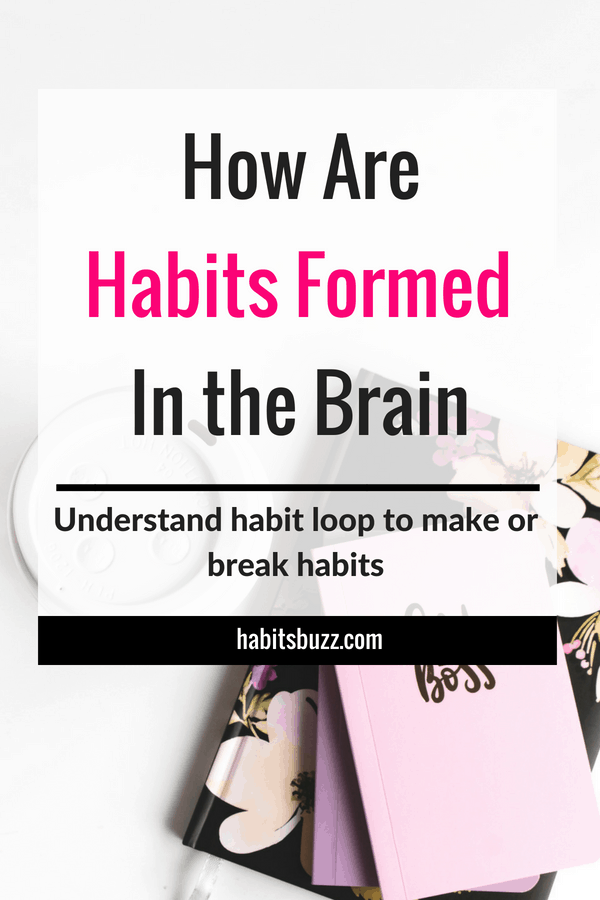 To make or break habits, you have to know how habits are formed in the brain (habit loop explained). #habits