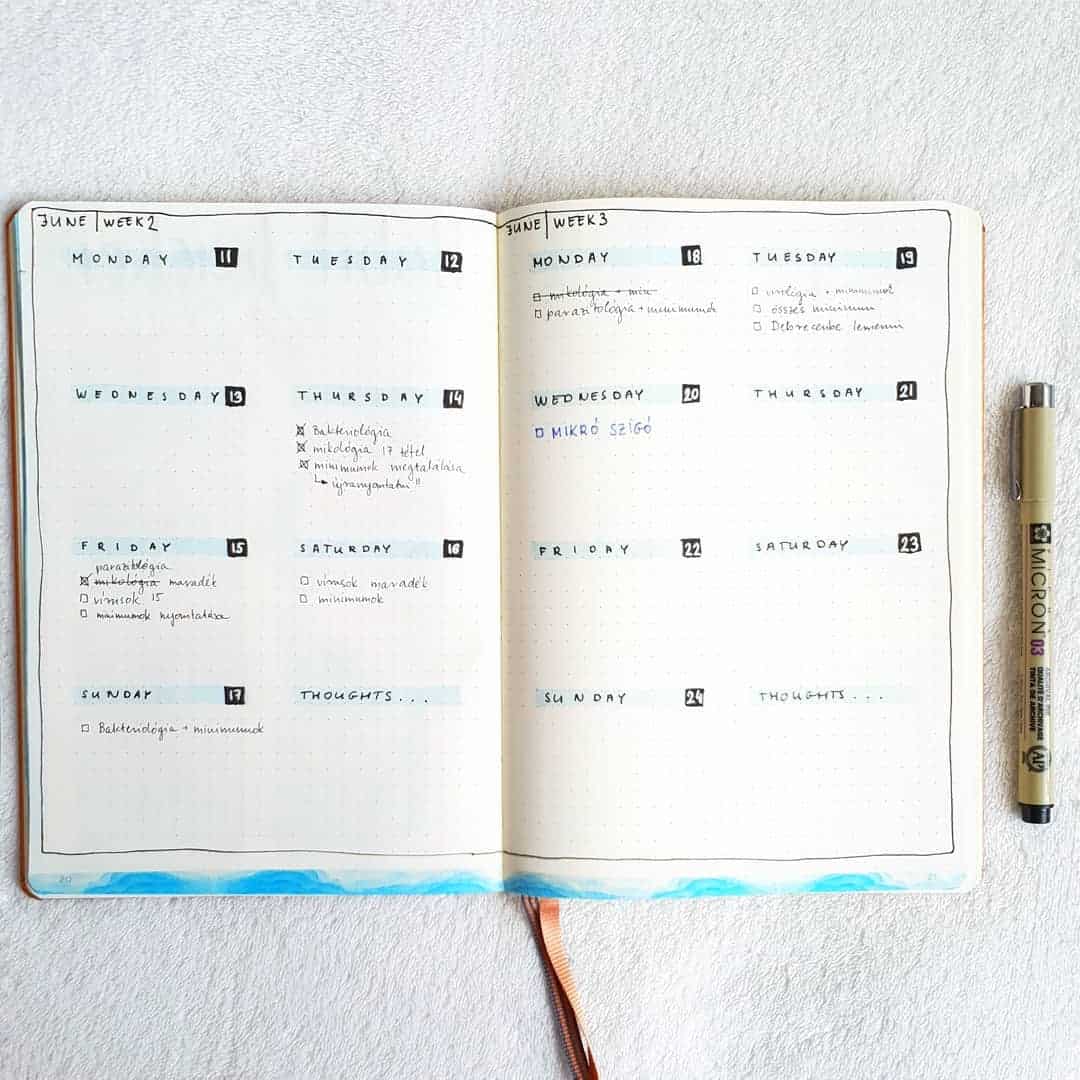 Have a look at these simple and minimalist bullet journal weekly spreads/layout for new ideas! #bulletjournal #bulletjournalweeklylog #bujo